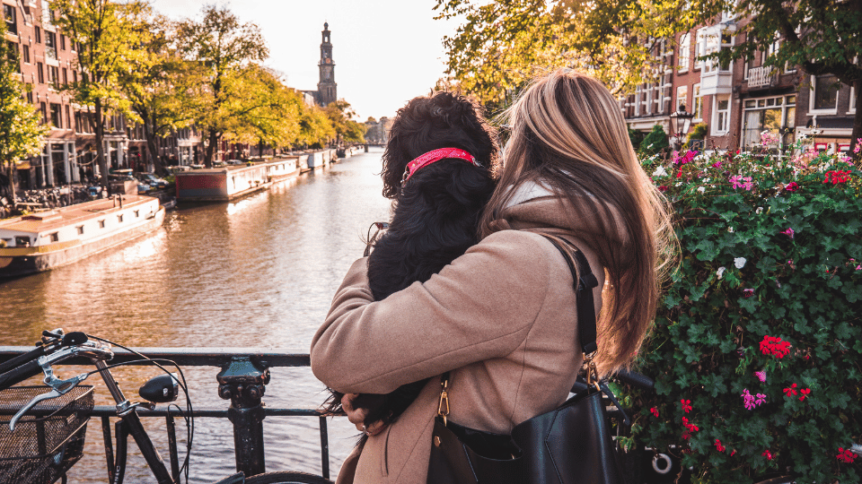 New survey reveals pet population and spending habits of Dutch pet owners