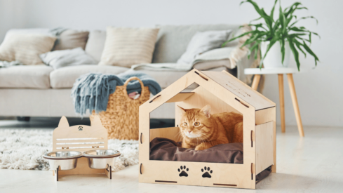 Spending trends among US pet parents