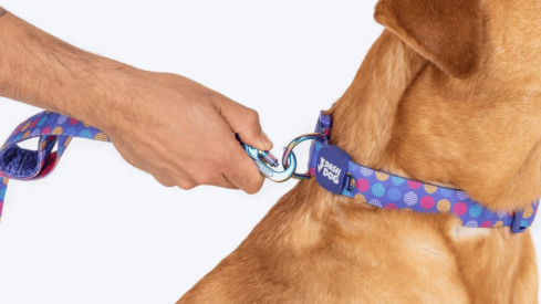 Heads Up For Tails launches new active brand after revenue spike