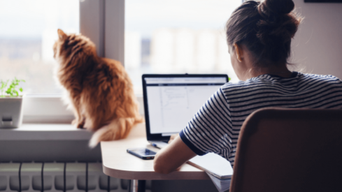 Will one-third of global pet care sales move online by 2026?