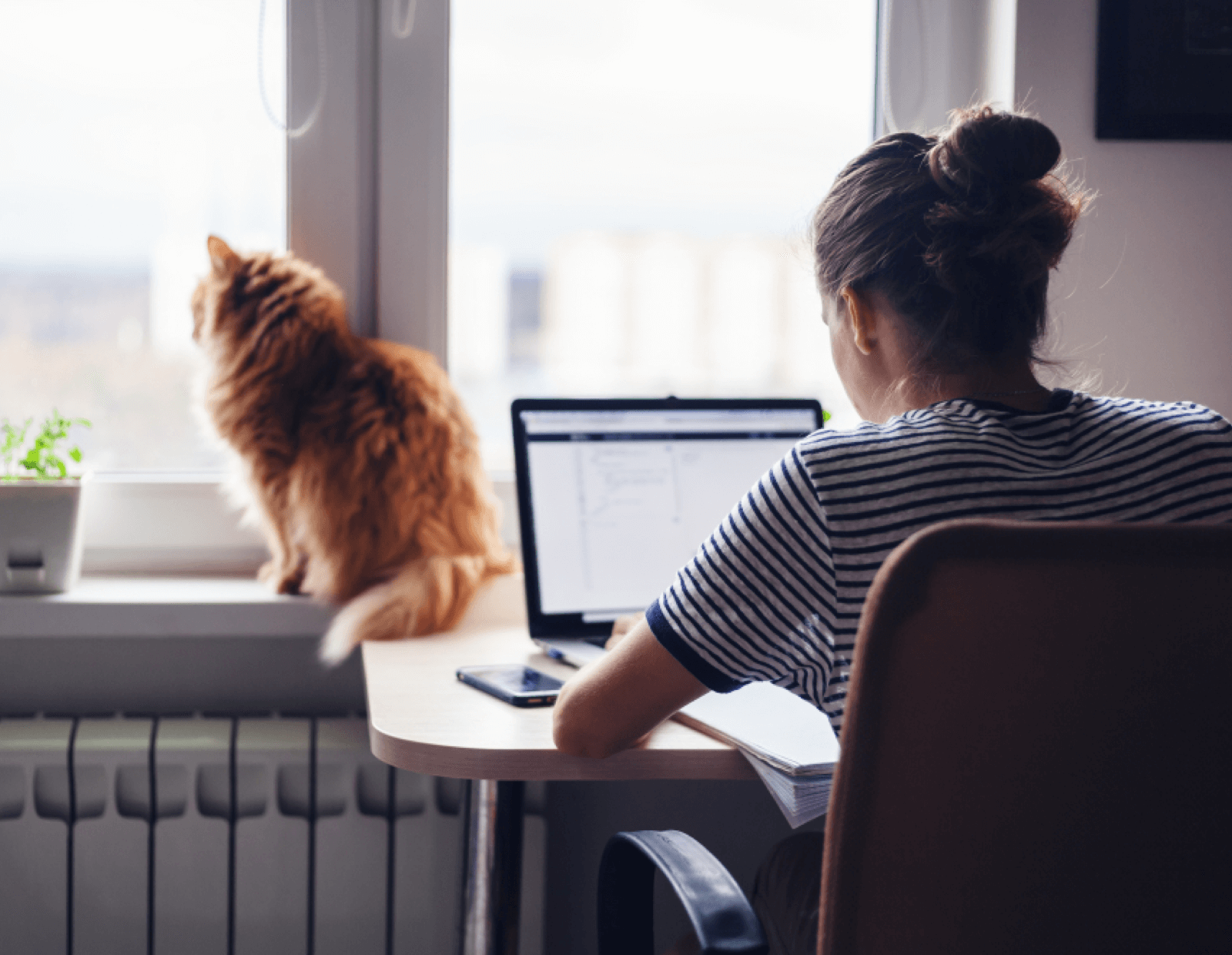 Will one-third of global pet care sales move online by 2026?