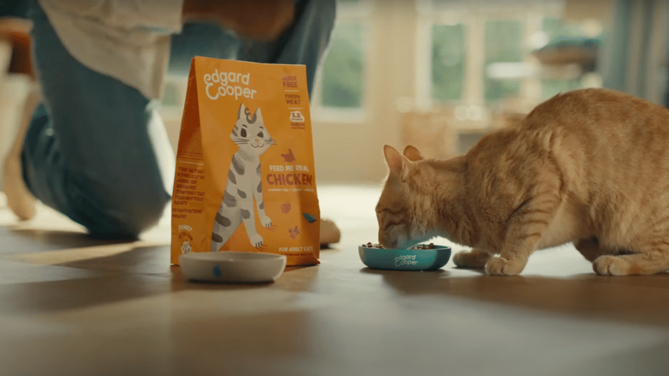 Edgard & Cooper’s new TV ad defends junk-free pet food