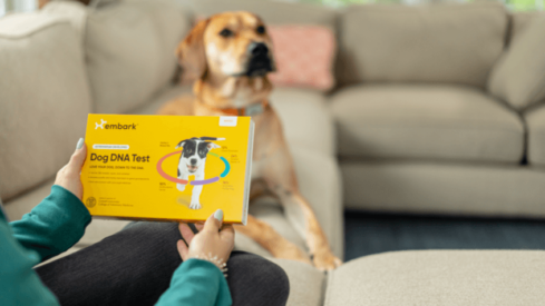 Canine genetic company Embark Veterinary raises M