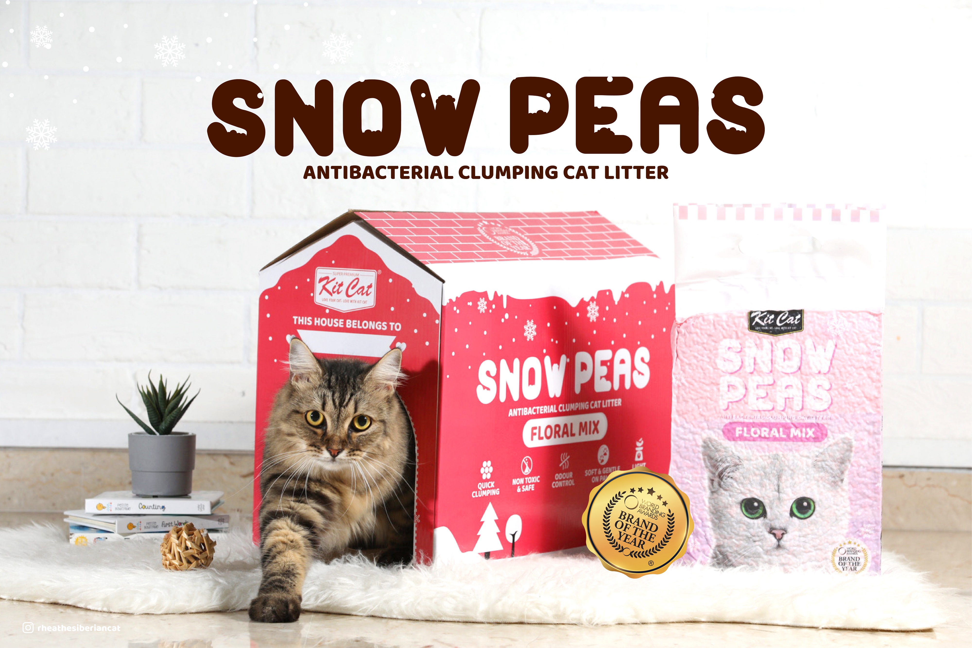 Snow Peas Cat litter