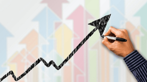 Price of pet products increased by 5.6% in a year in the US