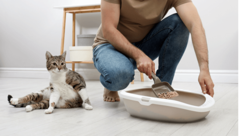 Owner survey gives you the scoop on cat litter consumption