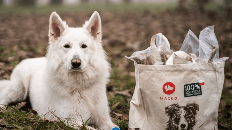 Polish dog treat producer Maced is acquired