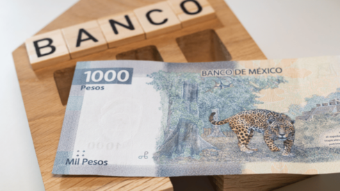 How Mexico’s inflation is increasing market share of low-cost pet food