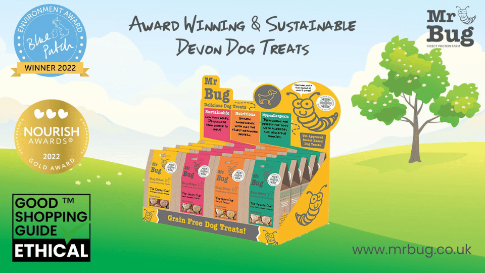 Mr Bug – A Leading Light In Mealworm Pet Food Nutrition