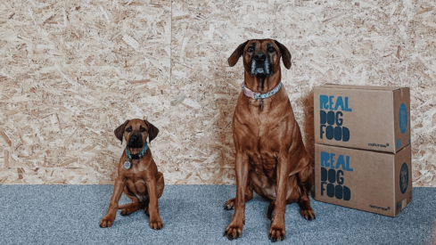 King Charles awards dog food company days ahead of his Coronation