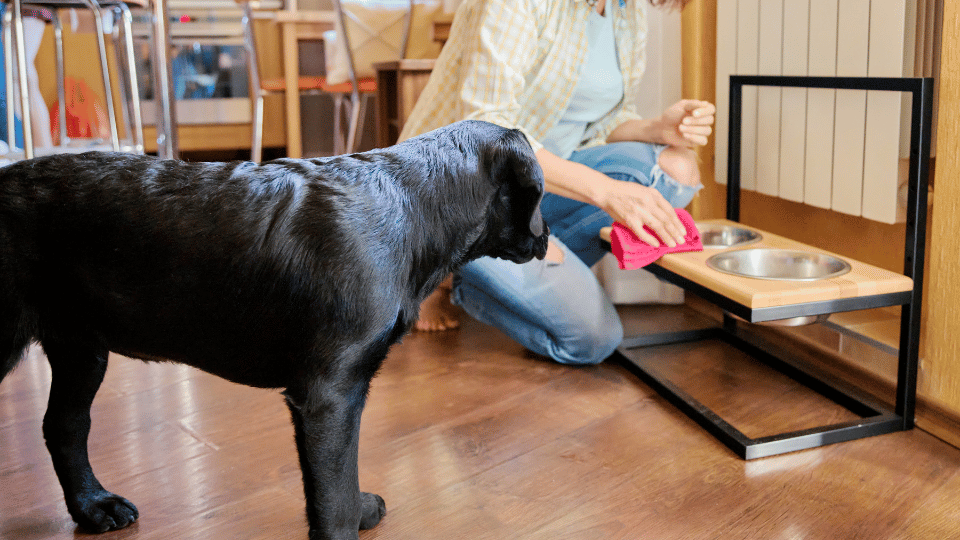Food handling practices of dog owners