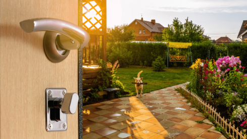 Looking for pet-friendly houses