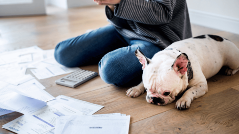 Survey reveals 1 in 3 US pet parents worry about pet expenses