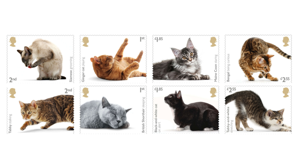 New Zealand Post opens competition for pet stamps