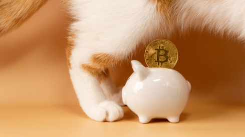 Over 40% of Gen Z owners agree to save for unexpected pet expenses