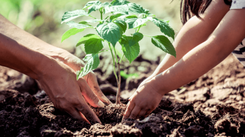 Three distributors join forces to advance sustainability