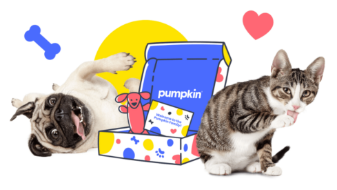 JAB acquires pet insurance provider Pumpkin