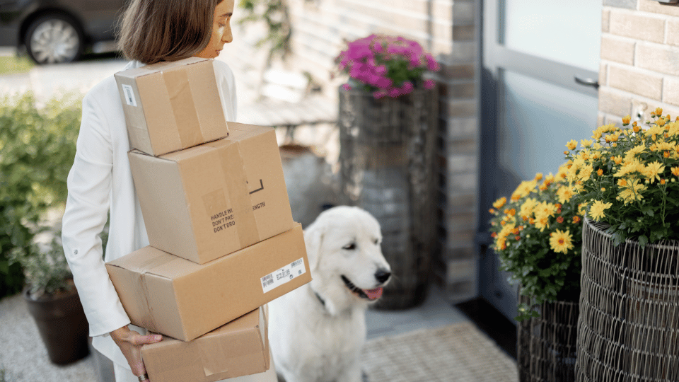 Canada gets same-day delivery for essential pet products
