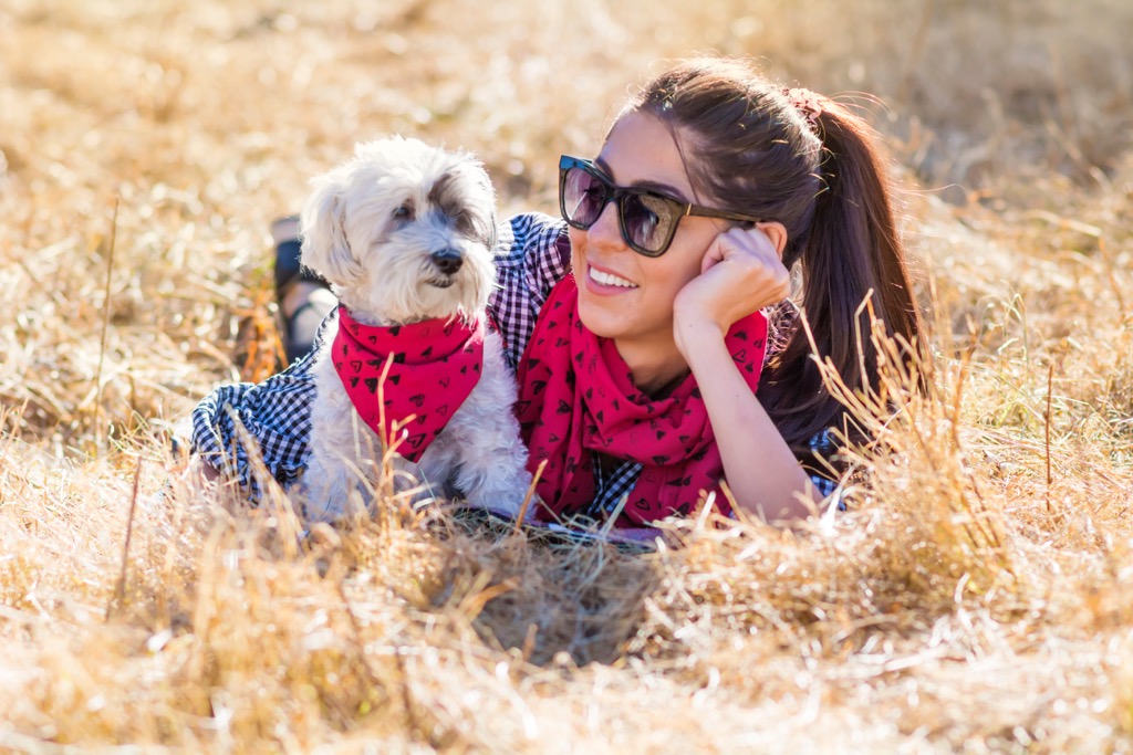 Wearables. Blurring the boundaries between pet and owner