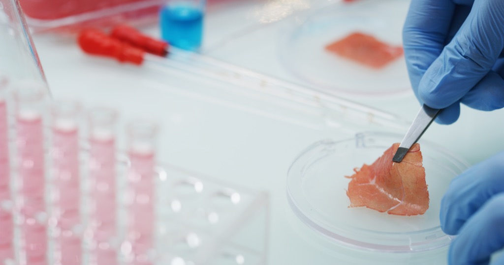 Cultured meat: is it a viable alternative protein?