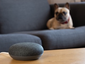 Voice products for dogs