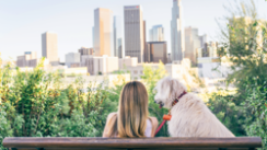 Pets in the city – modern pet ownership