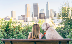 Pets in the city – modern pet ownership