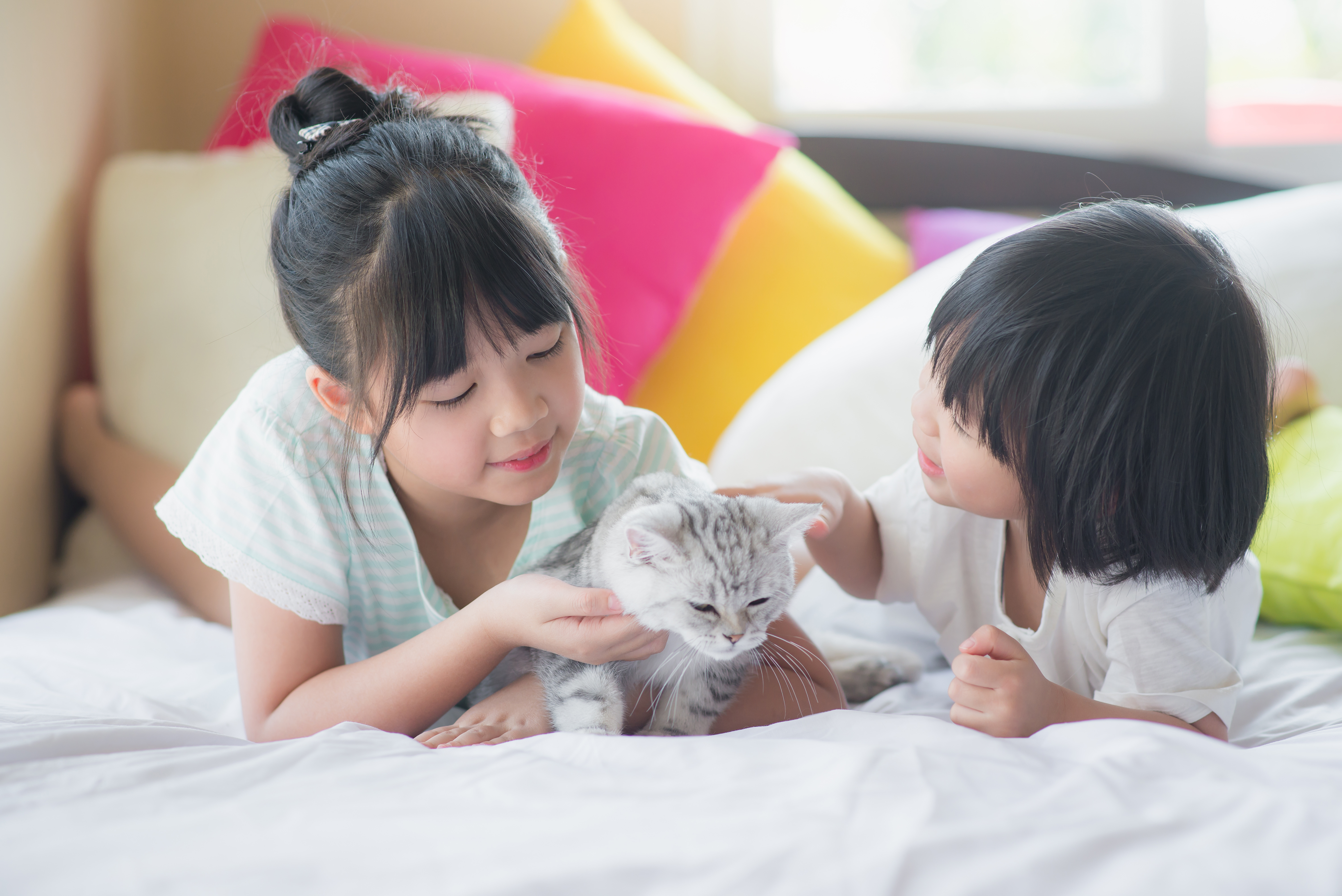 Positive outlook for pet care