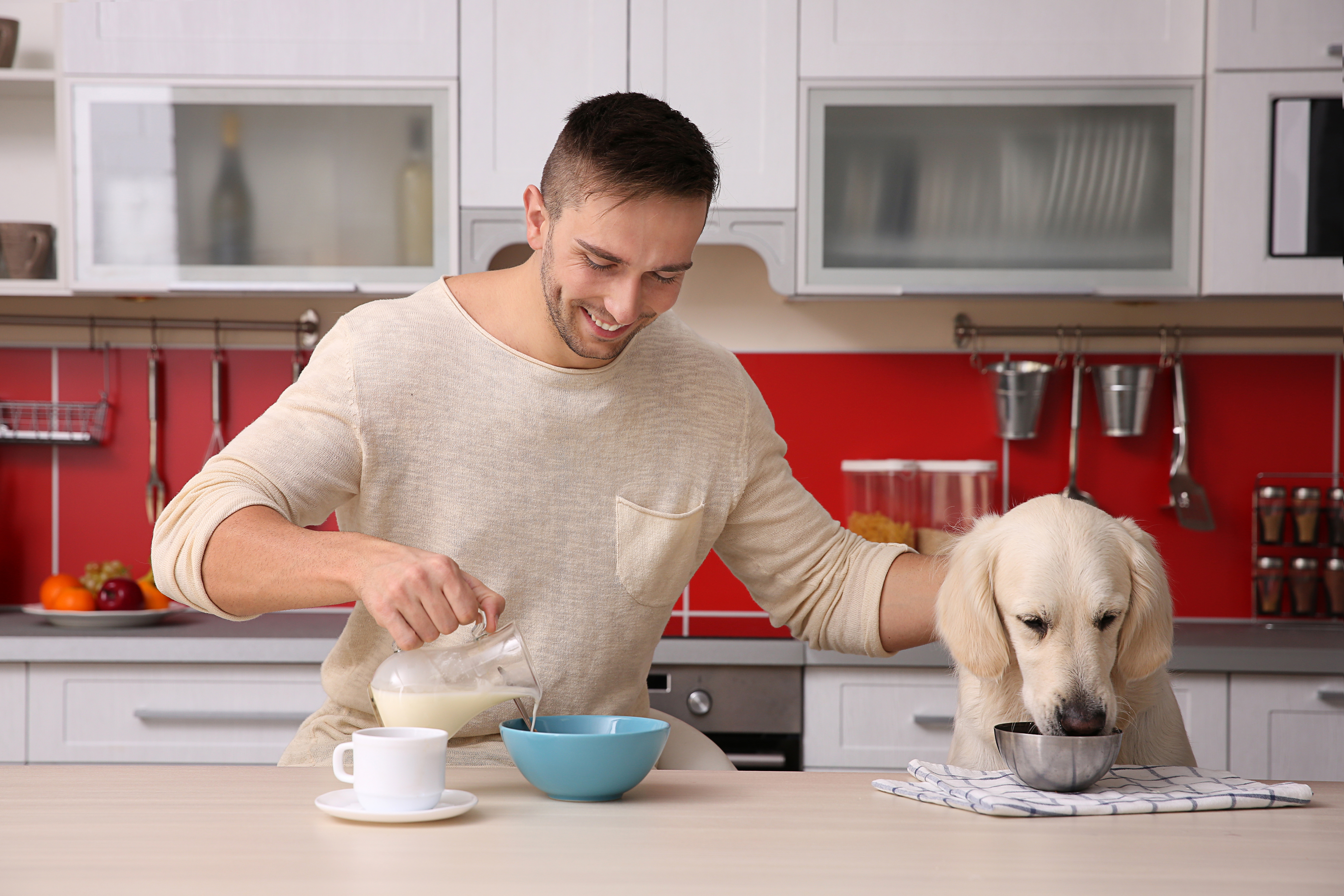 Ready meals for pet and owner?