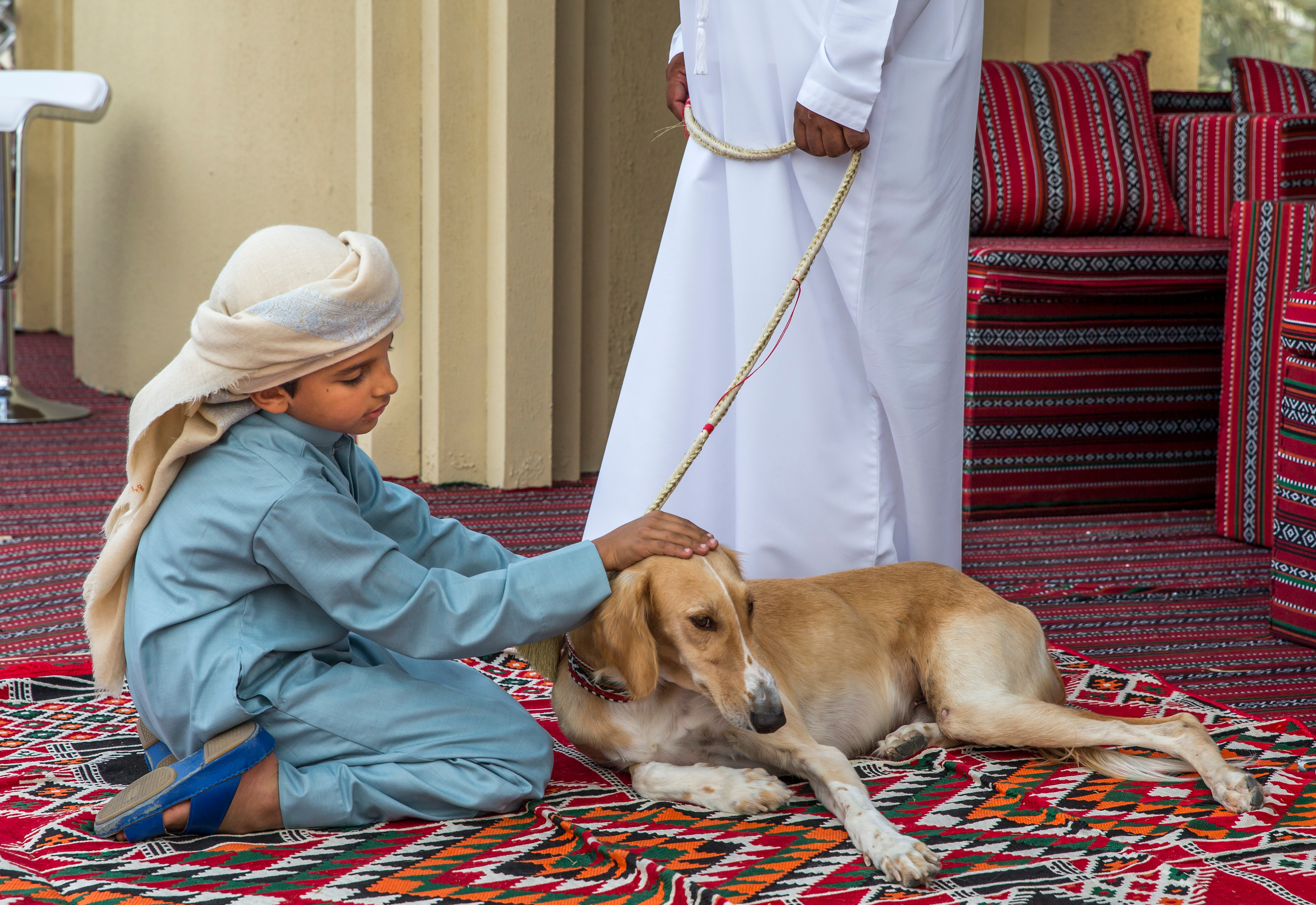The pet industry in the Middle East