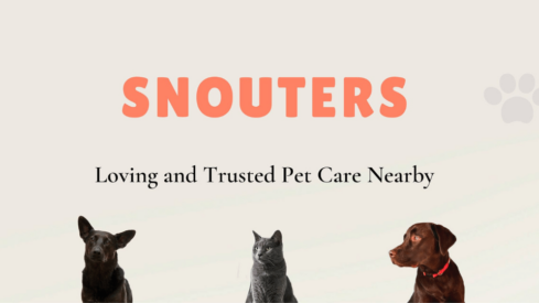 Indian pet marketplace Snouters to expand to Indonesia