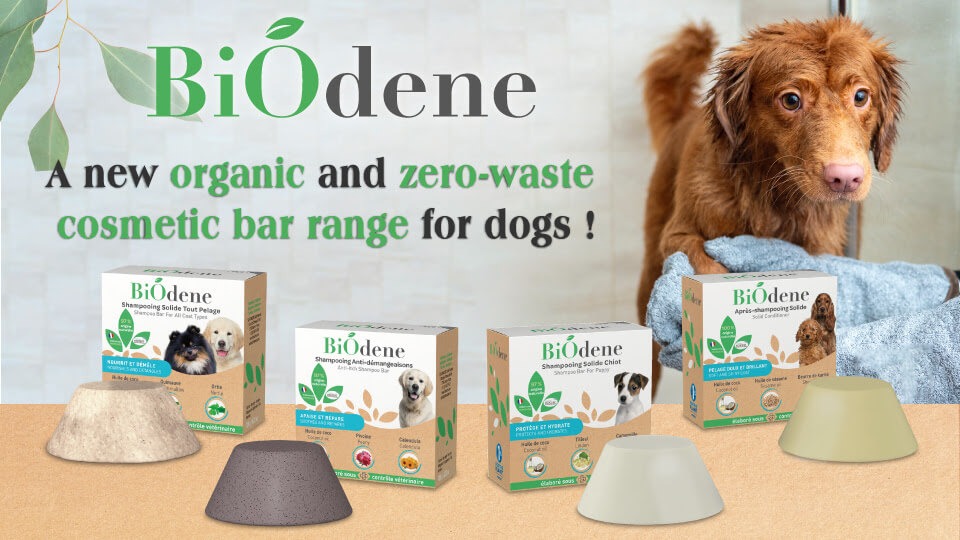 Cosmetic bar range for dogs