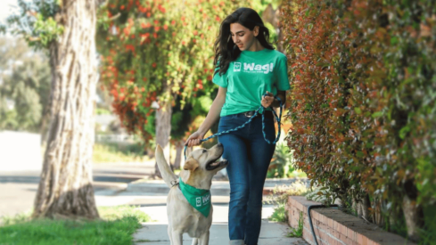 Wag! and Rover satisfied with performance but aiming for more