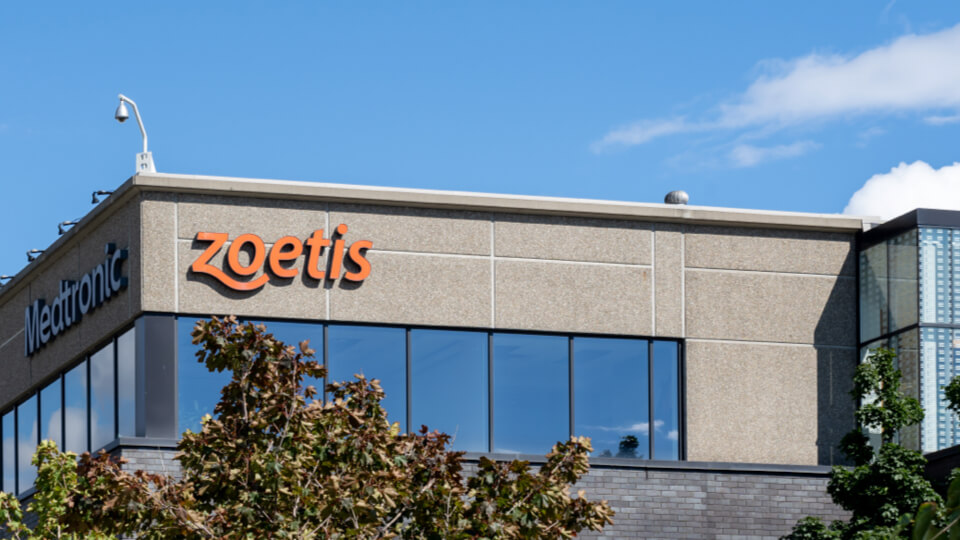 Zoetis maintains strong sales and increases revenue by 5% in Q2