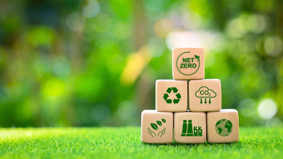 Pet Sustainability Coalition: helping businesses to reduce their environmental impact