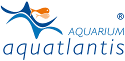 Aquatlantis S.a.