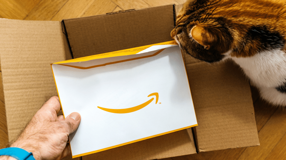 Pet supplies hit $300 million on Amazon Prime Day 2023