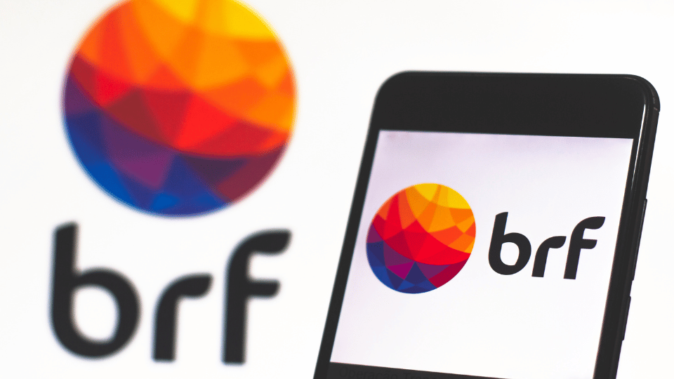 Is BRF closer to selling its pet portfolio?