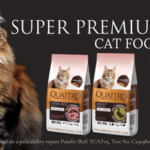 Quattro No Grain Cat Food with Collagen