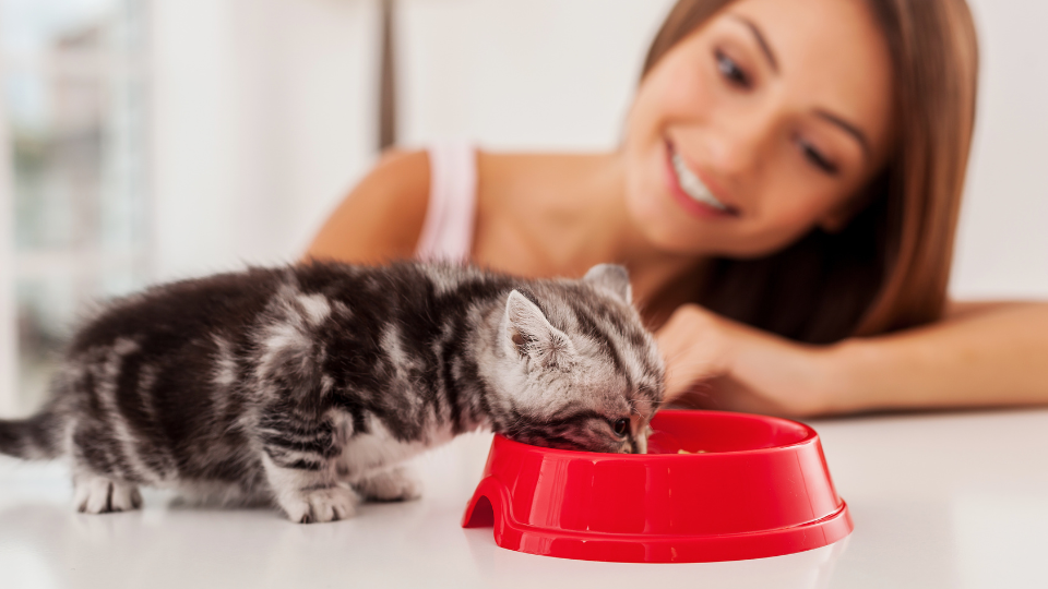 The truth behind prebiotic claims in pet food