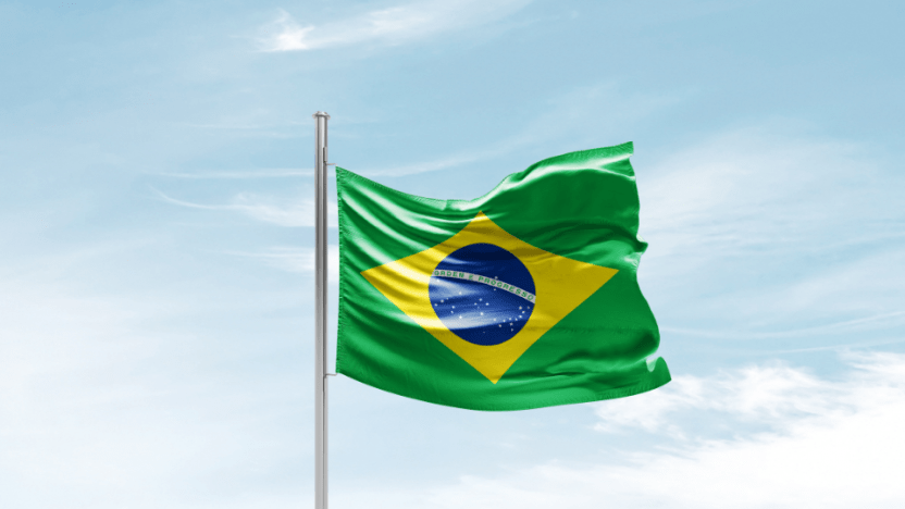 Brazilian bill increasing taxes on non-essential products excludes pet food