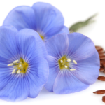 Flaxseed Oil 