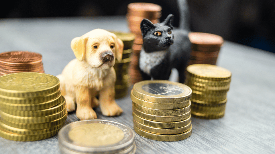 Investments that are driving the pet industry