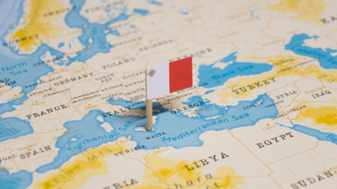 Malta: a step closer to regulating pet groomers, sitters and breeders?