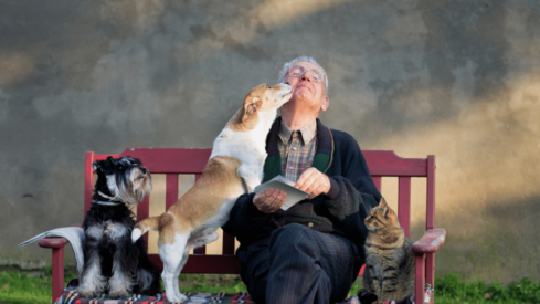 Do pets contribute to healthcare savings?