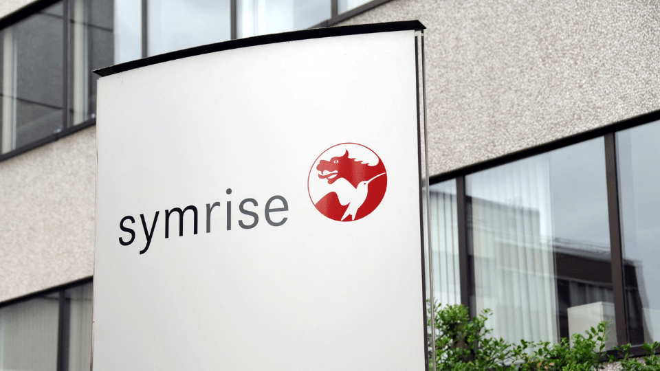 Symrise: overall decline, pet food segment records growth