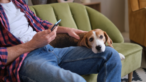 The power of social media for pet brands