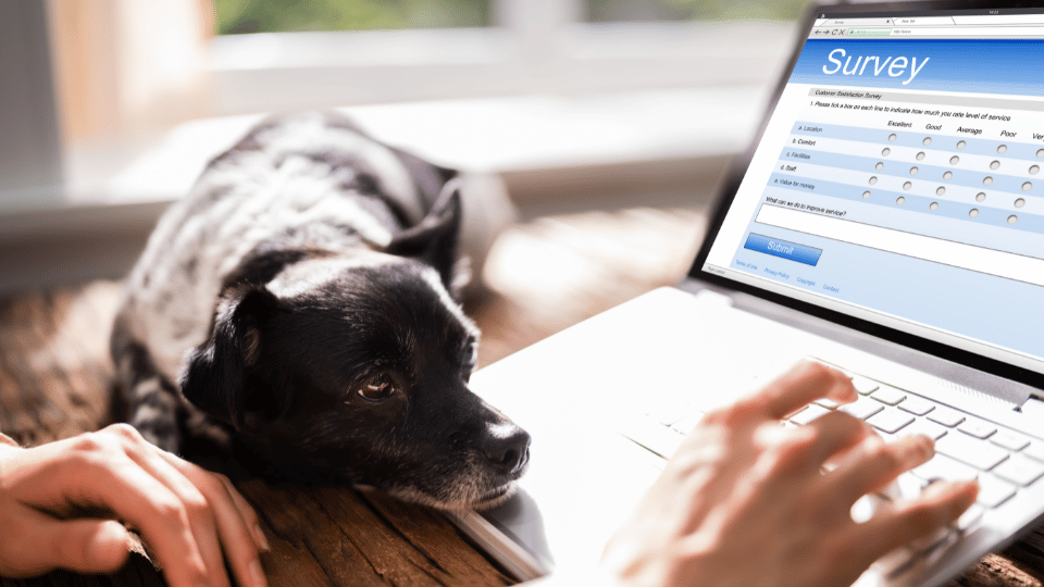 Victorian government launches Australia’s first pet census