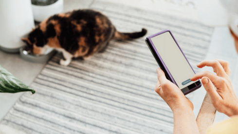 Tech corporations entering the Chinese pet market