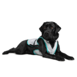 DRY® Cooling Vest - DOG